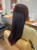 ギャロップヘアー チェリーブラウンカラー