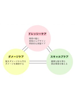 年齢と共に扱いにくくなる加齢毛、カラーやパーマの蓄積ダメージによる髪質を改善する【ドレッシーケア】