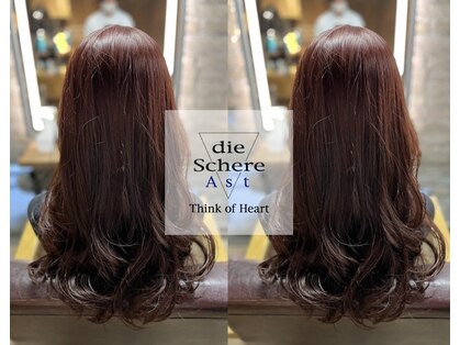 ディシェーレアスト(die-Schere Ast)の写真