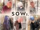 ソウィ(sowi)の写真