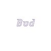 バド(Bud)のお店ロゴ