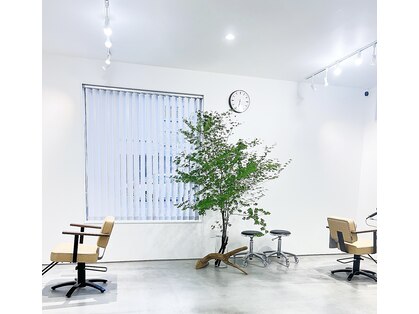 ザワン(the one .)の写真