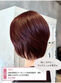 オーガニック全体白髪添め