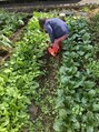 アース 熊本嘉島店(HAIR&MAKE EARTH) 自宅で家庭菜園を楽しんでいます。