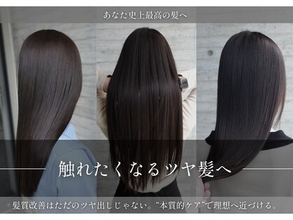 エルフィ(ELF=y)の写真