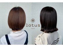 ロータスヘアー(lotus HAIR)