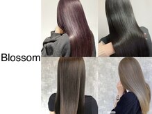 美容室ブロッサム ふじみ野店(Blossom)