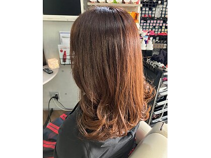 ミンミン(minmin)の写真