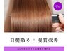 【髪質改善コース】リタッチ＋髪質改善　￥4,600→￥4,100