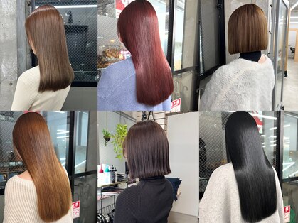 カシビ(kashibi)の写真