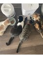 ニルス(nils) 猫を4匹飼っています。柄の渋滞ですが可愛くて癒やされています