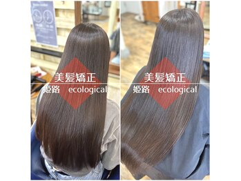 ECOLOGICaL GLOBES【エコロジカルグローブス】