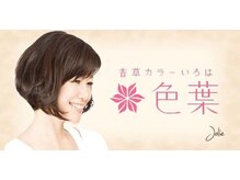 色葉（ノンジアミン・ノンアルカリ）