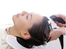 サロン ド テール(salon de TERRE)
