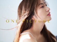 ワンピクチャー(ONE PICTURE)