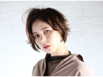 ハコ(H.A.Co)の写真