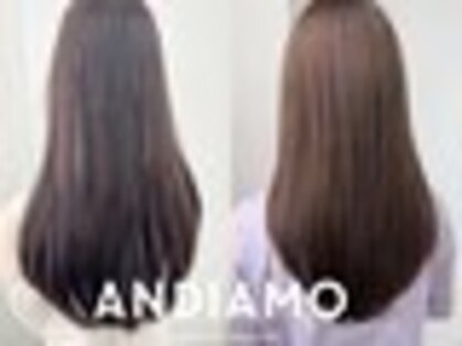 アンディアーモ アオバ(ａｎｄｉａｍｏ ａｏｂａ)の写真