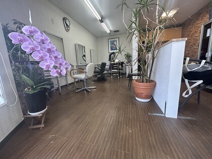 リ リバティ(Re:Liberty)の写真