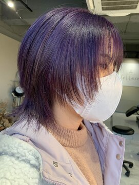 テラス(terrace) ウルフ　バイオレットカラー