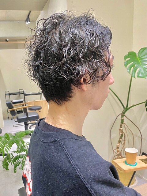 コンマヘアツーブロックマッシュカルマパーマノーセットマッシュ