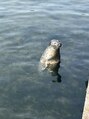 リンダイーロ(Linda Hiro) アザラシ大好きです!笑水族館もすきです笑