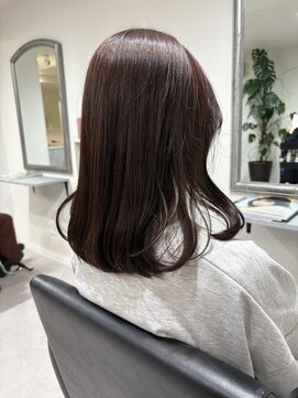 ガーベラ(gerbera) レッドブラウン