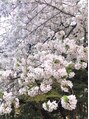 トランス(Trans) 休みの日は基本外出