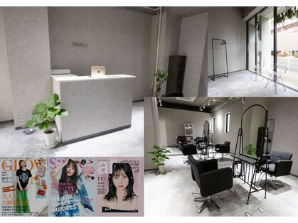 エルフィ(ELF=y)の写真