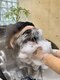 アオ(Aooo)の写真/【アロマオイルスパ・話題の頭浸浴も竹下でできる！】癒しや頭皮ケア…目的に合わせて最適なスパをご用意。