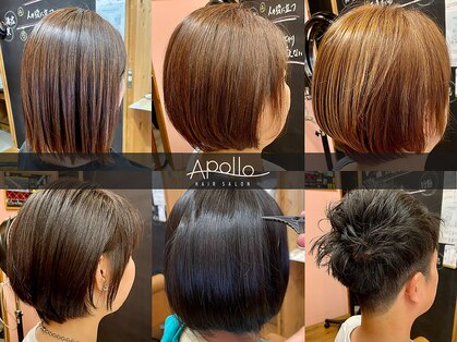 アポロ(Apollo)の写真