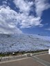ブライダルロケーション撮影のアテンドお引き上げ（カメラマンのご紹介も可）