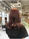ピンクラベンダー