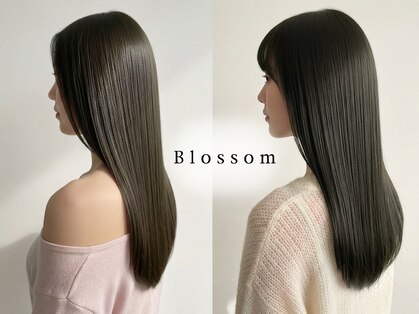 ブロッサム アネックス 成増店(Blossom)の写真