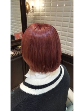 ルピナス(Lupinus) ボブベース