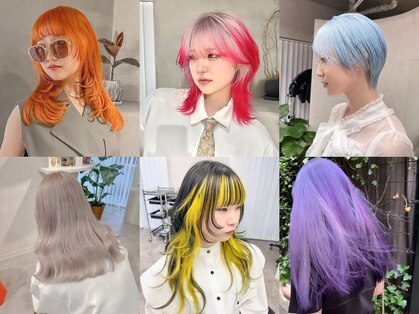 アドネ(adne)の写真