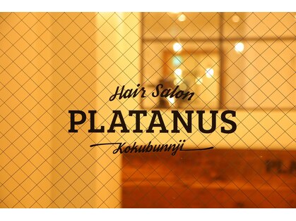 プラタナス 国分寺南口店(PLATANUS)の写真