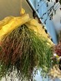 ヘアーサロン アンズ ミモザ