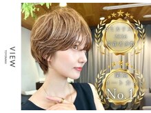 ビュートヨナカ(VIEW TOYONAKA)