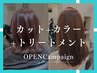 【OPENCampaign】カット＋カラー＋トリートメント￥５５００[伊勢崎/駒形駅]