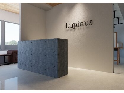 ルピナス 大泉学園(Lupinus)の写真