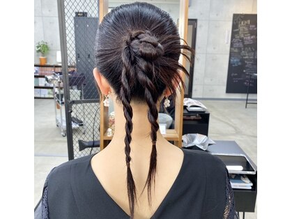 ステラ(stella)の写真