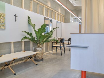 カサネ(casane)の写真