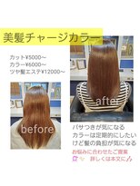 ルッツ カオラ(Ruttu KaoLa) ツヤ髪エステ*