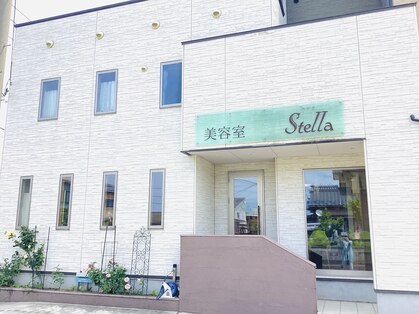 ステラ(stella)の写真