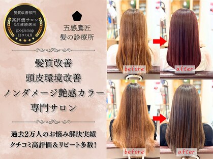 五感鷹匠 髪の診療所の写真