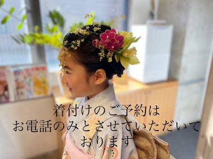 コモド comodoの写真