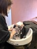 【健康な毛髪は頭皮から】カット＋ヘッドスパ￥6400→￥5500