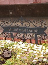 Hund und Dame