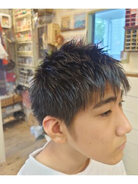 ブリキ(BLIK) ハンサムベリーショート