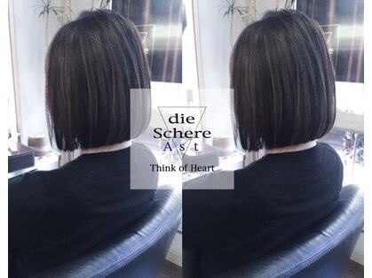ディシェーレアスト(die-Schere Ast)の写真
